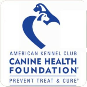 canine health foundation